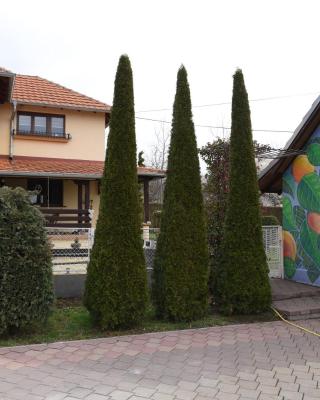 Seosko turističko domaćinstvo Kajsija