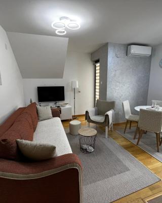 Aleksandar apartman Sokobanja