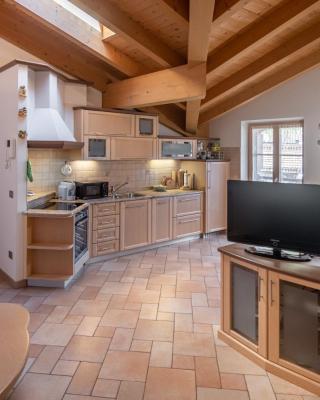 DolomiApartments - Appartamento Coronelle