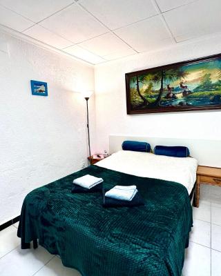 Las habitaciones en Alicante