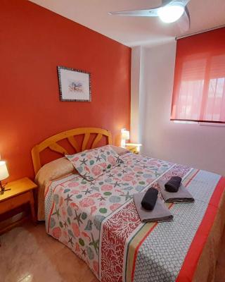 TREBOL - BEACH MORRO DE GOS