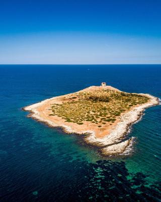 L'isola Che Non C'è