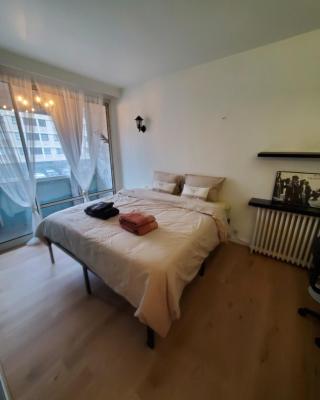 Apartment 2 or 3 bedrooms near Paris