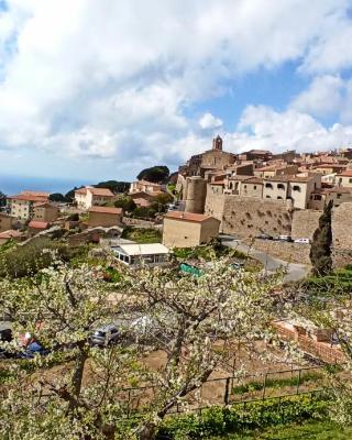 Appartamenti Giglio Castello