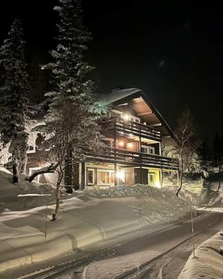 SKI INN/OUT - 4-room apartment w/3 bedroom