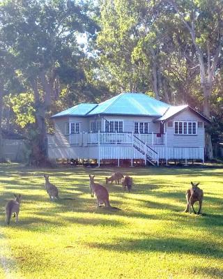 Lake Weyba Noosa Lodge & Kangaroos