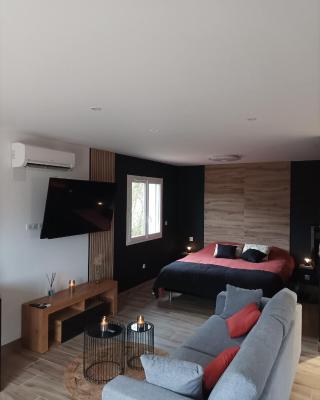 Loft sauna jacuzzi ospariegeois