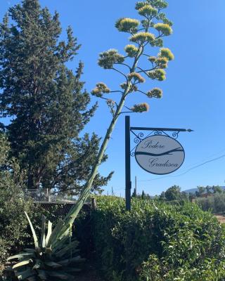 Podere Gradisca