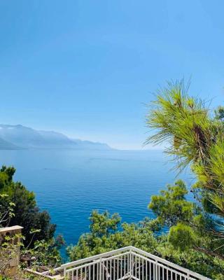 Adriatik Paradise