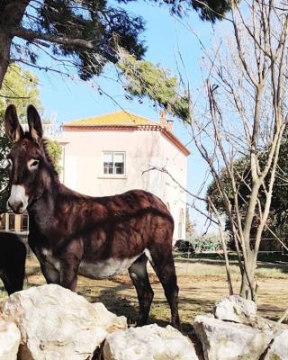 Au cœur de la Nature