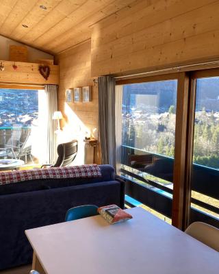 Luxury Apartment, 350m to ski lift, south facing, close to town centre