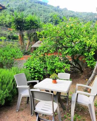 Il limoneto dei Cinque Sensi,apartment with garden