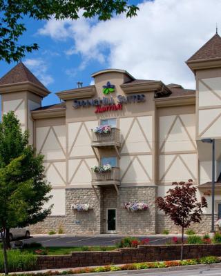 Springhill Suites by Marriott Frankenmuth