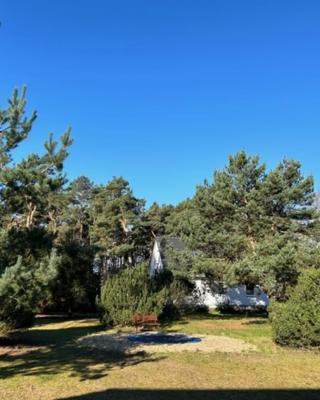 Ferienpark Buntspecht Apartment A