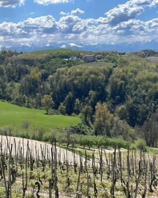Spicchio di Langa - casa indipendente tra le vigne e le Alpi