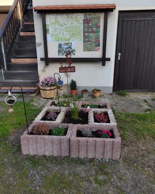 Ferienwohnungen Hering