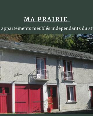 Villa Prairie Mont-Dore 7 Appartements