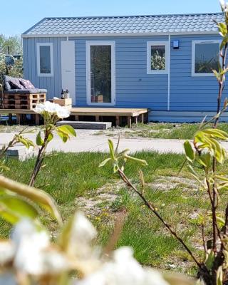 Vakantiechalet Jonagold 4 personen