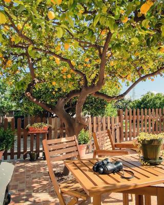 Casa de invitados tradicional con piscina en la huerta de Lorca