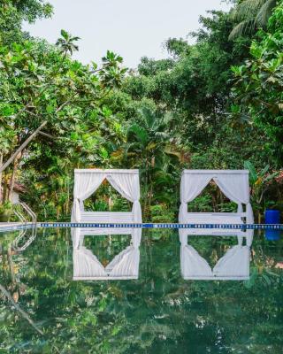 An Nhien Retreat Phu Quoc with Yoga Daily & Beach access