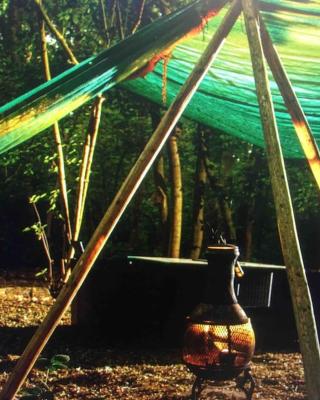 Magical Forest yurt