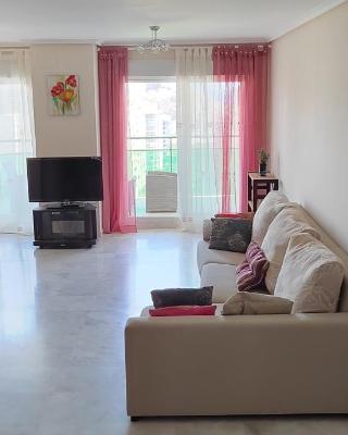 Apartamento Vila Park