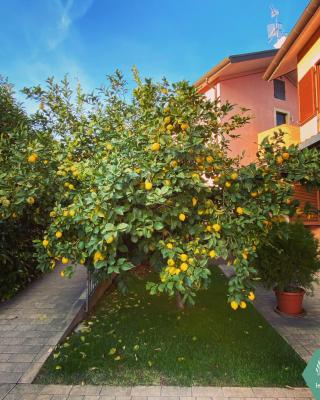 Lemon tree suite al golf