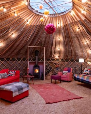 Giant Yurt Sleeping 8 with Spa, Catering, Walled Gardens, Nature Reserve, Free Parking