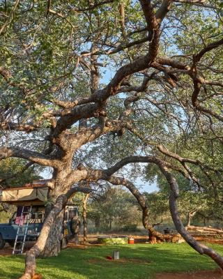 ZuriCamp - Campsite Halishi