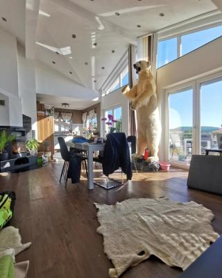 Haus mit schöner Aussicht WG