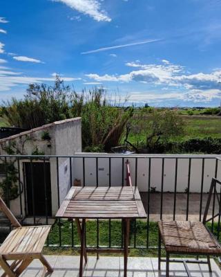 Appartement dans Mas camarguais