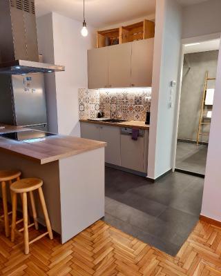 Christina-Anna Athens City Center walking distance to everywhere and Acropolis, in One of the most Favorable Locations by National Gardens and Zoo, Hellenic Parliament in Syntagma and Stylish Exquisite Kolonaki Cozy Renovated Apartment