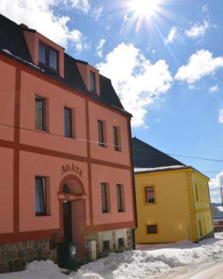 Apartmány Agáta Abertamy