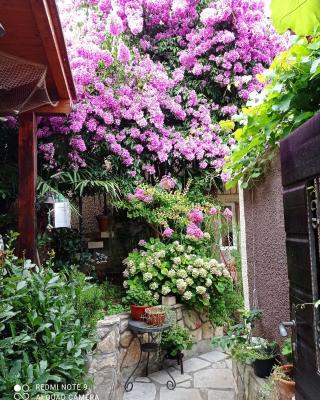 Apartman i Sobe Čule Cres