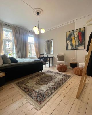 Lovely central apartment with two large bedrooms nearby Oslo Opera, vis a vis Botanical garden