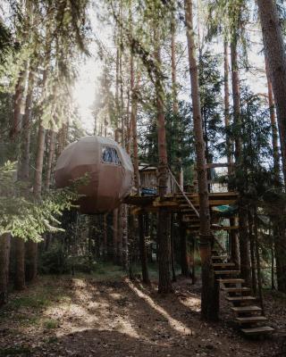 Nature calls - tree tents