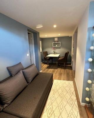 Basement apartment with parking