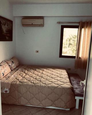 Cozy Studio by Ceni, Elbasan