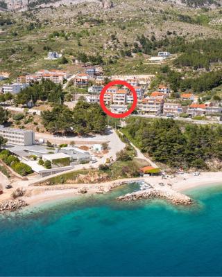Beachfront XXL - 2 Apartments Together -