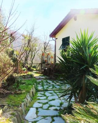 casa di arya CODICE CITRA LT-0043