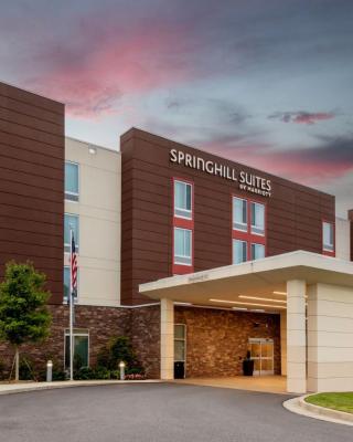 SpringHill Suites Atlanta Alpharetta/Roswell