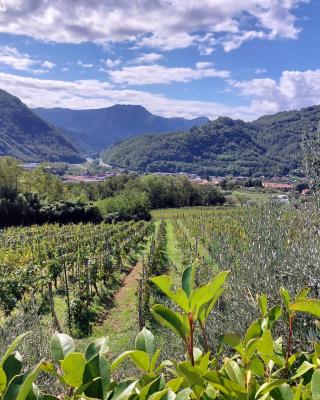 Agriturismo Tenuta La Fratta