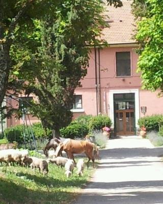 Country House Villa delle Rose Agriturismo