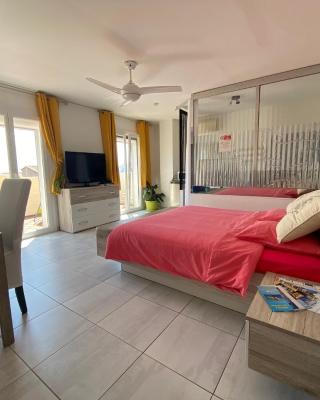 Charmante chambre avec vue mer - parking privée