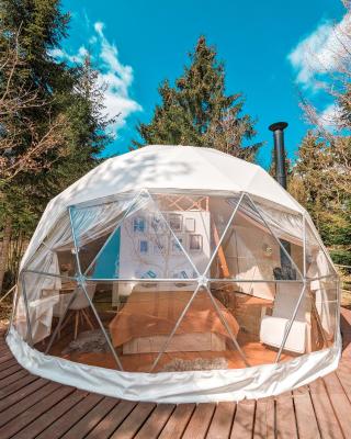 Medve Dome - Luxury Camping in the middle of nature