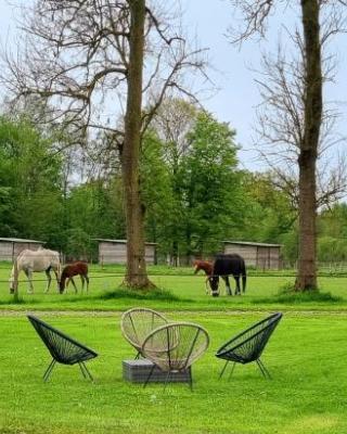 Gite Haras du Bois de Formerie