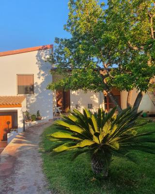 Villa Rita Apartament & Rooms