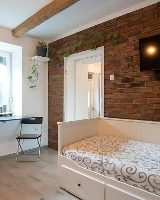 Nordic Dream Apartment in Kikinda