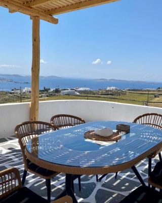 Lux Mykonos house