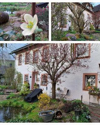 Ferienwohnung Zum Jehöschnis
